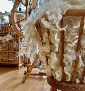 1-Wool Picking