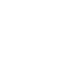 SSL Secure